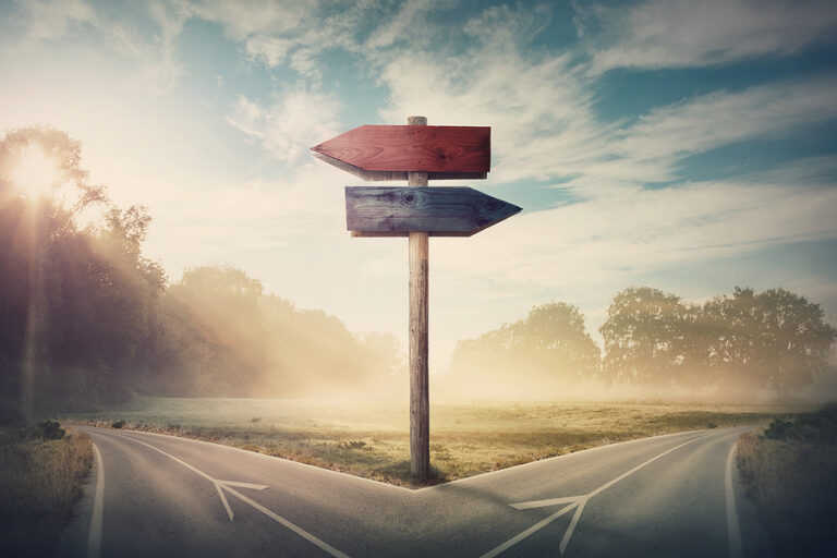 A sign post pointing left and right in the center of a forked road, meant t signify leadership decision-making